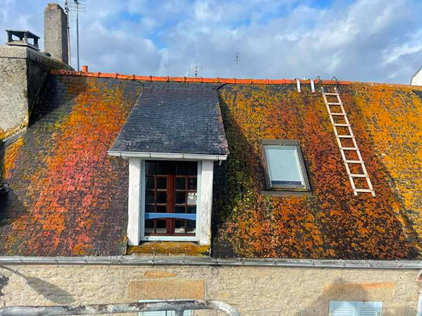 Toiture abimée par le temps, avant l'intervention de HDE-Démoussage,ramonage,rénovation toiture et façade.